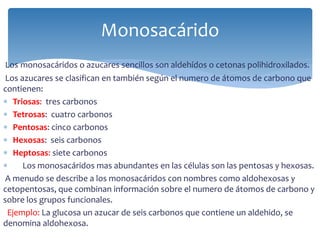 Los monosacáridos o azucares sencillos son aldehídos o cetonas polihidroxilados.
Los azucares se clasifican en también según el numero de átomos de carbono que
contienen:
 Triosas: tres carbonos
 Tetrosas: cuatro carbonos
 Pentosas: cinco carbonos
 Hexosas: seis carbonos
 Heptosas: siete carbonos
 Los monosacáridos mas abundantes en las células son las pentosas y hexosas.
A menudo se describe a los monosacáridos con nombres como aldohexosas y
cetopentosas, que combinan información sobre el numero de átomos de carbono y
sobre los grupos funcionales.
Ejemplo: La glucosa un azucar de seis carbonos que contiene un aldehido, se
denomina aldohexosa.
Monosacárido
 