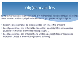 Son polímeros que contienen unos 10 o 15 monómeros y que con mayor frecuencia
se encuentran unidos a polipéptidos en ciertas glicoproteínas y glucolipidos.
 Existen 2 clases amplias de oligosacáridos con enlace N o enlace O
 Los oligosacáridos con enlaces N están unidos a polipéptidos por un enlace
glucosidicos N unido al aminoácido (asparagina).
 Los oligosacáridos con enlaces O esta unidos a polipeptidos por los grupos
hidroxilos unidos al aminoácido (trionina o serina).
oligosacaridos
 