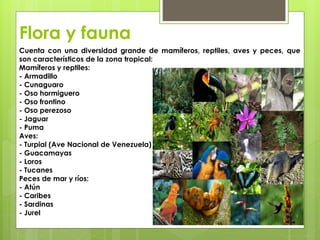 Flora y fauna
Cuenta con una diversidad grande de mamíferos, reptiles, aves y peces, que
son característicos de la zona tropical:
Mamíferos y reptiles:
- Armadillo
- Cunaguaro
- Oso hormiguero
- Oso frontino
- Oso perezoso
- Jaguar
- Puma
Aves:
- Turpial (Ave Nacional de Venezuela)
- Guacamayas
- Loros
- Tucanes
Peces de mar y ríos:
- Atún
- Caribes
- Sardinas
- Jurel
 