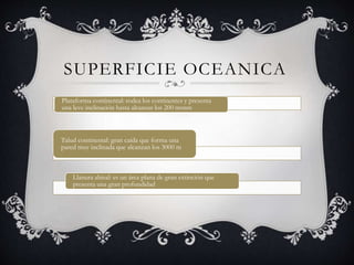 SUPERFICIE OCEANICA
Plataforma continental: rodea los continentes y presenta
una leve inclinación hasta alcanzar los 200 msnm
Talud continental: gran caída que forma una
pared muy inclinada que alcanzan los 3000 m
Llanura abisal: es un área plana de gran extinción que
presenta una gran profundidad
 