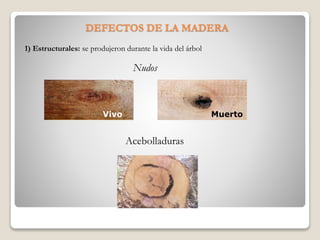 DEFECTOS DE LA MADERA
1) Estructurales: se produjeron durante la vida del árbol
Nudos
Vivo Muerto
Acebolladuras
 