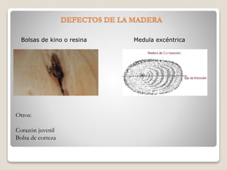 DEFECTOS DE LA MADERA
Bolsas de kino o resina Medula excéntrica
Otros:
Corazón juvenil
Bolsa de corteza
 