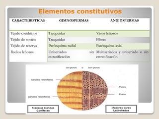 Elementos constitutivos
CARACTERISTICAS GIMNOSPERMAS ANGIOSPERMAS
Tejido conductor Traqueidas Vasos leñosos
Tejido de sostén Traqueidas Fibras
Tejido de reserva Parénquima radial Parénquima axial
Radios leñosos Uniseriados sin
estratificación
Multiseriados y uniseriado o sin
estratificación
 