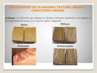 2) Grano: es la dirección que adoptan los distintos elementos anatómicos con respecto al
eje longitudinal del tronco, en su sección radial o tangencial.
PROPIEDADES DE LA MADERA: TEXTURA, GRANO Y
CARACTERES ANEXOS
Recto Oblicuo
EntrecruzadoOndulado
 