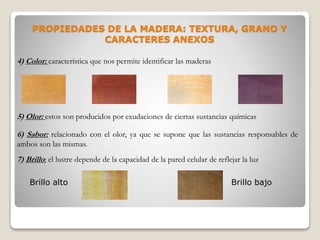 PROPIEDADES DE LA MADERA: TEXTURA, GRANO Y
CARACTERES ANEXOS
4) Color: característica que nos permite identificar las maderas
5) Olor: estos son producidos por exudaciones de ciertas sustancias químicas
6) Sabor: relacionado con el olor, ya que se supone que las sustancias responsables de
ambos son las mismas.
7) Brillo: el lustre depende de la capacidad de la pared celular de reflejar la luz
Brillo alto Brillo bajo
 