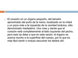  El corazón en un órgano pequeño, del tamaño
aproximado del puño de la mano, localizado en la mitad
y un poco más a la izquierda de la cavidad torácica, sitio
denominado mediastino. Uno cree y siente que el
corazón está completamente al lado izquierdo del pecho,
pero esto se debe a que en este sector, el órgano se
acerca mucho a la superficie del cuerpo, por lo que es
más fácil sentir o incluso escuchar los latidos ahí.
 