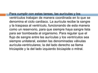  Para cumplir con estas tareas, las aurículas y los
ventrículos trabajan de manera coordinada en lo que se
denomina el ciclo cardiaco. La aurícula recibe la sangre
y la traspasa al ventrículo, funcionando de esta manera
como un reservorio, para que siempre haya sangre lista
para ser bombeada al organismo. Para regular que el
flujo de sangre entre las aurículas y los ventrículos sea
siempre unilateral, existen las denominadas válvulas
aurícula-ventriculares; la del lado derecho se llama
tricúspide y la del lado izquierdo bicúspide o mitral.
 