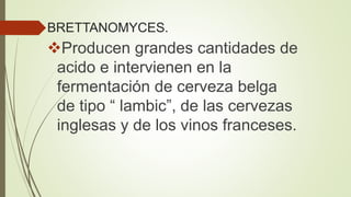 BRETTANOMYCES.
Producen grandes cantidades de
acido e intervienen en la
fermentación de cerveza belga
de tipo “ lambic”, de las cervezas
inglesas y de los vinos franceses.
 