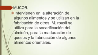 MUCOR.
Intervienen en la alteración de
algunos alimentos y se utilizan en la
fabricación de otros. M. rouxii se
utiliza para la sacarificación del
almidón, para la maduración de
quesos y la fabricación de algunos
alimentos orientales.
 