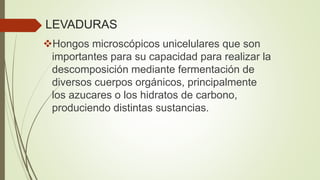 LEVADURAS
Hongos microscópicos unicelulares que son
importantes para su capacidad para realizar la
descomposición mediante fermentación de
diversos cuerpos orgánicos, principalmente
los azucares o los hidratos de carbono,
produciendo distintas sustancias.
 