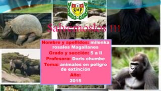 Nombre y apellidos: milenka
rosales Magallanes
Grado y sección: 5 a ll
Profesora: Doris chumbe
Tema: animales en peligro
de extinción
Año:
2015
Salvémoslos !!!
 