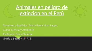 Animales en peligro de
extinción en el Perú
Nombres y Apellidos: Maria Paula Vivar Laupa
Curso: Ciencia y Ambiente
Profesora: Doris Chumbe
Grado y Sección: 5º A-II
 