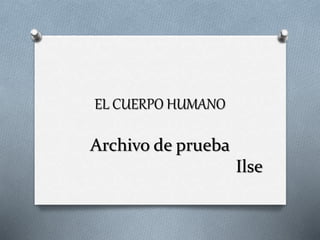 EL CUERPO HUMANO
Archivo de prueba
Ilse
 