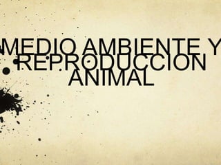 MEDIO AMBIENTE Y
REPRODUCCION
ANIMAL
 