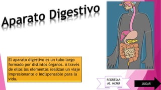 El aparato digestivo es un tubo largo
formado por distintos órganos. A través
de ellos los elementos realizan un viaje
impresionante e indispensable para la
vida.
JUGAR
REGRESAR
AL MENU
 