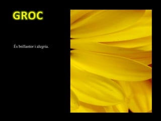 És brillantor i alegria.
 