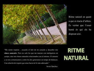 “Me siento respirar… escucho el latir de mi corazón y descubro mis
ritmos naturales. Pero no solo los que me marcan con inteligencia mi
cuerpo, sino mis ritmos naturales relacionados con el entorno. El entorno
y yo nos comunicamos y entre los dos generamos un tempo de balanceo.
Una relación de respeto que atrae hacia mí lo más adecuado.”
Javier Sánchez.
Ritme natural en quant
a que es tracta d’arbres.
És veritat que l’esser
humà és qui els ha
disposat així.
 