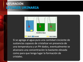 Si se agrega al agua pura una cantidad creciente de
sustancias capaces de cristalizar en presencia de
una temperatura y un PH dados, eventualmente se
alcanzara una concentración lo bastante elevada
como para que tenga lugar la formación de
cristales.
SATURACIÓN
LITIASIS URINARIA
 
