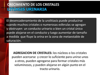 El desencadenamiento de la urolitiasis puede producirse
cuando muchos cristales o numerosas esferulas se agregan
y obstruyen un conducto urinario o bien un cristal único
puede alojarse en el conducto y luego aumentar de tamaño
a medida que fluye la orina en la zona de metaestable de
saturación.
CRECIMIENTO DE LOS CRISTALES
LITIASIS URINARIA
AGREGACION DE CRISTALES: los núcleos o los cristales pueden acercarse y crecer lo suficiente para unirse unos a otros, pueden agregarse para formar cris
AGREGACION DE CRISTALES: los núcleos o los cristales
pueden acercarse y crecer lo suficiente para unirse unos
a otros, pueden agregarse para formar cristales más
voluminosos, y pueden alojarse en algún punto en el
tracto urinario.
 
