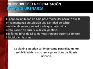 El péptido inhibidor, de bajo peso molecular permite que la
orina mantenga en solución una cantidad de calcio
considerablemente superior a la que determina
cristalización en ausencia de ese péptido.
Los formadores de cálculos muestran una ausencia de este
inhibidor en la orina.
INHIBIDORES DE LA CRISTALIZACIÓN
LITIASIS URINARIA
La alanina ,pueden ser importante para el aumento
solubilidad del calcio en algunos tipos de litiasis
urinaria.
 