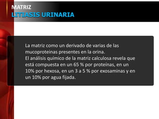 La matriz como un derivado de varias de las
mucoproteinas presentes en la orina.
El análisis químico de la matriz calculosa revela que
está compuesta en un 65 % por proteínas, en un
10% por hexosa, en un 3 a 5 % por exosaminas y en
un 10% por agua fijada.
MATRIZ
LITIASIS URINARIA
 