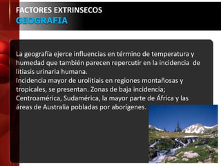 FACTORES EXTRINSECOS
GEOGRAFIA
La geografía ejerce influencias en término de temperatura y
humedad que también parecen repercutir en la incidencia de
litiasis urinaria humana.
Incidencia mayor de urolitiais en regiones montañosas y
tropicales, se presentan. Zonas de baja incidencia;
Centroamérica, Sudamérica, la mayor parte de África y las
áreas de Australia pobladas por aborígenes.
 