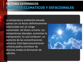 FACTORES EXTRINSECOS
FACTORES CLIMATICOS Y ESTACIONALES
La temperatura ambiental elevada
parece ser un factor definitivamente
relacionado con un riesgo
aumentado de litiasis urinaria. Las
temperaturas elevadas, aumentan la
transpiración, lo cual conducen un
aumento de las concentraciones
urinarias. Esta hiperconcentracion
urinaria podría contribuir de
diversos modos la formación de
cálculos.
 
