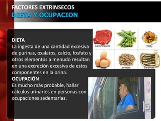 FACTORES EXTRINSECOS
DIETA Y OCUPACION
DIETA
La ingesta de una cantidad excesiva
de purinas, oxalatos, calcio, fosfato y
otros elementos a menudo resultan
en una excreción excesiva de estos
componentes en la orina.
OCUPACIÓN
Es mucho más probable, hallar
cálculos urinarios en personas con
ocupaciones sedentarias.
 