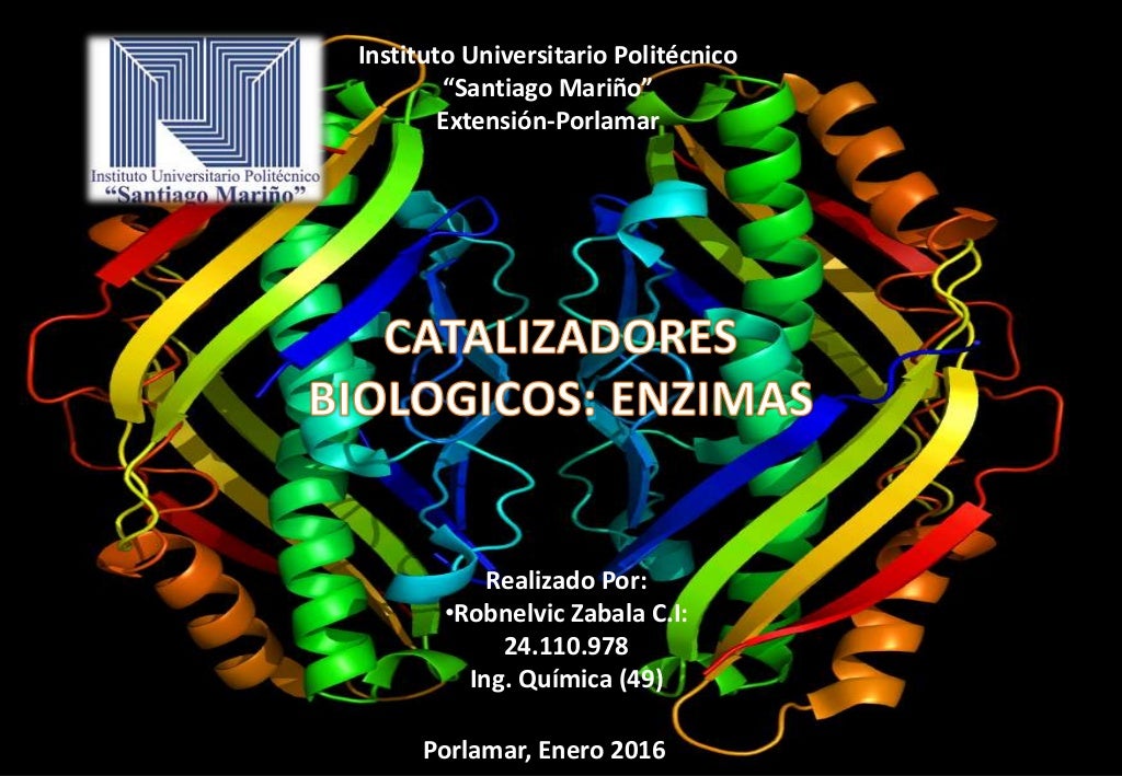 As Enzimas Podem Ser Consideradas Catalisadores Biológicos Justifique