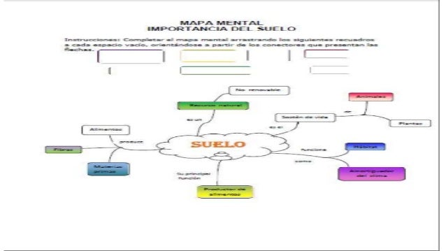 Mapa Mental del Suelo (resuelto)
