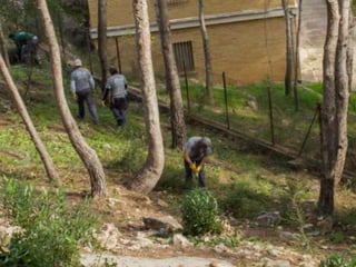 Treballs en La Carrasca