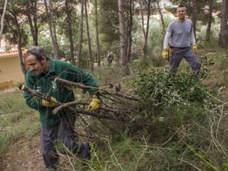 Treballs en La Carrasca