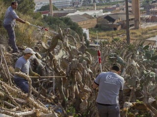 Treballs en La Carrasca