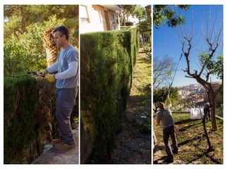 Treballs en La Carrasca
