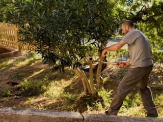 Treballs en La Carrasca