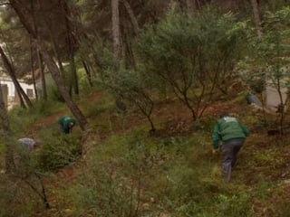 Treballs en La Carrasca
