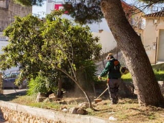 Treballs en La Carrasca