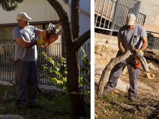 Treballs en La Carrasca