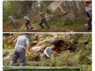 Treballs en La Carrasca