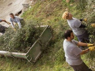 Treballs en La Carrasca