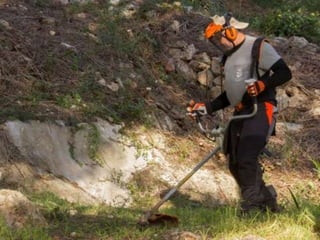 Treballs en La Carrasca
