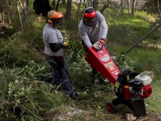 Treballs en La Carrasca