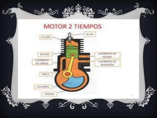 clasificación por parametros