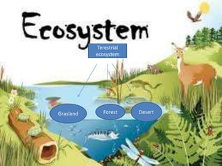 ecosystem | PPTX