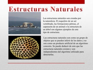 Las estructuras naturales son creadas por
la naturaleza. El esqueleto de un ser
vertebrado, las formaciones pétreas, el
caparazón de un animal o la estructura de
un árbol son algunos ejemplos de este
tipo de estructura.
Las estructuras naturales son como un grupo de
objetos que se pueden inferir de los datos y no
son como un producto artificial de un algoritmo
concreto. Se puede deducir de esto que las
estructuras naturales existen y son
independientes del algoritmo utilizado para
detectarlas.
 
