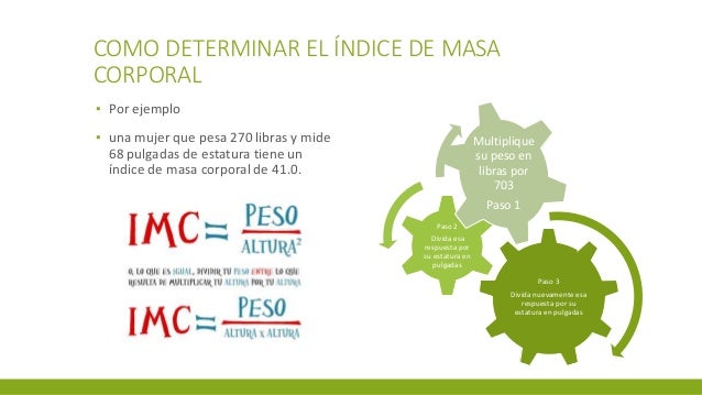 INDICE DE MASA CORPORAL