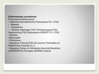 Enfermedades parasitarias
Protozoarios Metazooarios
• Helmintos Nematelmintos Protozoarios Ot t i (TGI)
• ∙ Babesia
• ∙ Toxoplasma
• ∙ Eimeria Ostertagia (TGI) Trichostrongylus(TGI)
Haemonchus(TGI) Dictyocaulus (RESPI) Ti h i (TGI)
• Eimeria
•Sarcocystis
•Trichomona
• Neospora Trichuris(TGI) (En porcino Trichinella) (z)
Platelmintos Fasciola (z) ( )
• Neospora Tenias (z) Artropodos Aracnida Boophilus
(GARRAPATA) Psoroptes (SARNA) Insecta
 