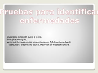 Brucelosis: detección suero o leche.
Precipitación Ag‐Ac.
Anemia infecciosa equina: detección suero. Aglutinación de Ag‐Ac
Tuberculosis: pliegue ano‐caudal. Reacción de hipersensiblidad.
 