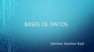 BASES DE DATOS
Sánchez Sánchez Raúl
 