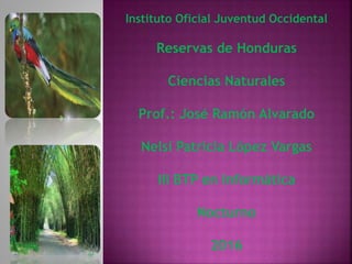 Instituto Oficial Juventud Occidental
Reservas de Honduras
Ciencias Naturales
Prof.: José Ramón Alvarado
Nelsi Patricia López Vargas
III BTP en Informática
Nocturno
2016
 